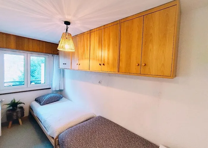 Daire Alpin, Et Parking *